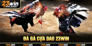 Đá Gà Cựa Dao kubet 11 net - Khám Phá Nghệ Thuật Chiến Đấu Đỉnh Cao