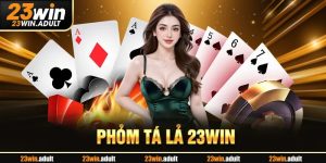 Phỏm Tá Lả - Hướng Dẫn Quy Trình Tham Gia Tại kubet 11 net