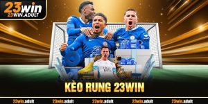 Kèo Rung Là Gì? Cách Bắt Kèo Cực Chuẩn Nhất Trên kubet 11 net