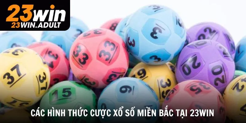Khám phá các hình thức cược xổ số miền Bắc tại kubet 11 net